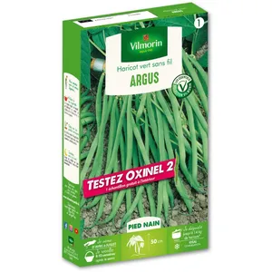 HARICOT ARGUS +ECHANTILLON HARICOT OXINEL 2 VILMORIN pas cher