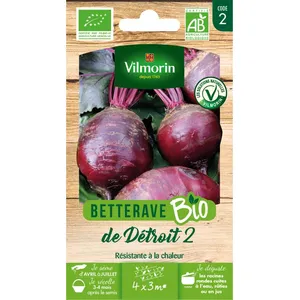 Vilmorin Betterave Potagère Detroit 2 - BIO pas cher