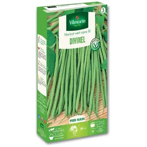 Haricot Divinel Création Vilmorin Vilmorin pas cher