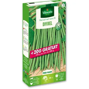 VILMORIN Haricot nain a filet sans fil Delinel - 200+20g gratuit pas cher