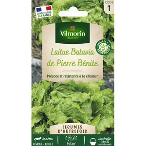 Vilmorin - Laitue Batavia de Pierre Bénite - la pas cher