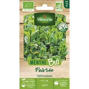 Vilmorin Menthe Poivree bio pas cher
