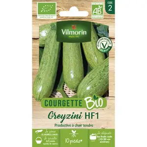 Courgette greyzi bio vert clair Vilmorin pas cher