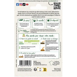 Courgette ronde Boldenice HF1 Vilmorin pas cher