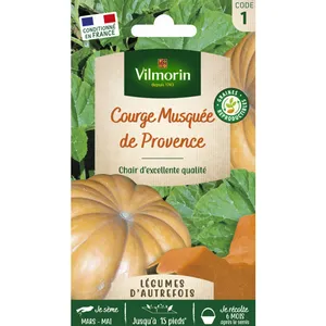 VILMORIN Courge Musquée de Provence pas cher