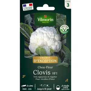 VILMORIN Chou-fleur Clovis pas cher