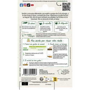 Tomate allongée Roma HF1 Vilmorin
