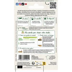 Tomate ronde Honey Moon HF1 Vilmorin pas cher