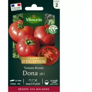 Tomate Dona - Graines d'Exception | Vilmorin Jardin pas cher