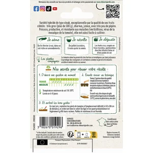Tomate côtelée Buffalosteack HF1 vilmorin pas cher
