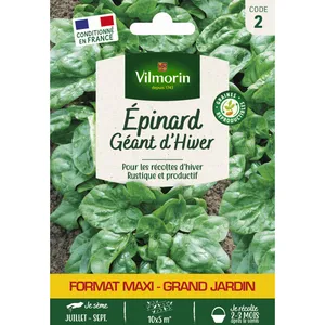 VILMORIN Epinard Géant d'Hiver pas cher