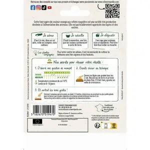 Bettrave fourragère jaune géante de Vauriac Vilmorin pas cher