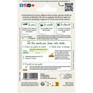 Carotte Presto HF1 Vilmorin pas cher