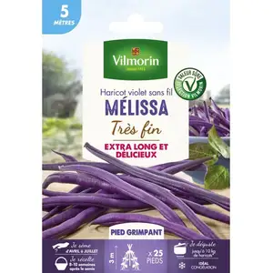 Vilmorin - Haricot Grimpant Violet Mélissa - 5 m pas cher