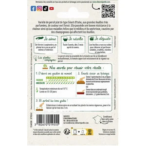 Persil à feuilles type géant d'Italie Lion Vilmorin pas cher