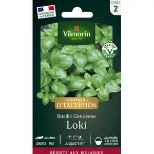 VILMORIN Basilic Loki pas cher
