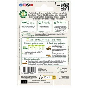 Tomate côtelée Lanterna HF1 Vilmorin pas cher