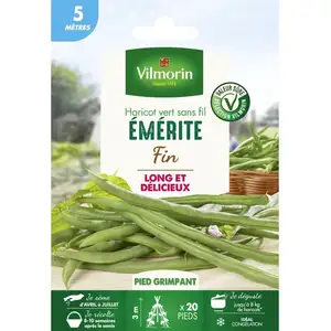 VILMORIN Haricot Emerite pas cher