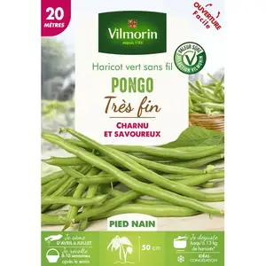 Haricot Pongo 20M Vilmorin pas cher