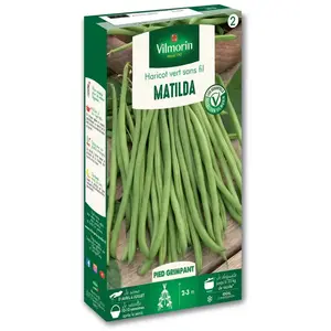 Haricot Matilda Vilmorin pas cher