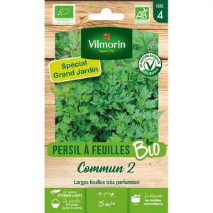 Persil Commun 2 Bio GM Vilmorin pas cher