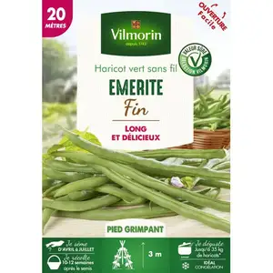 Haricot Emérite 20M Vilmorin pas cher