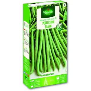 Haricot Blanc de Juillet Vilmorin pas cher