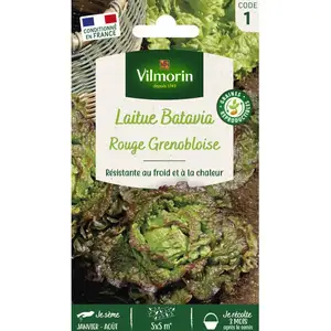 Laitue Rouge Grenobloise Vilmorin pas cher