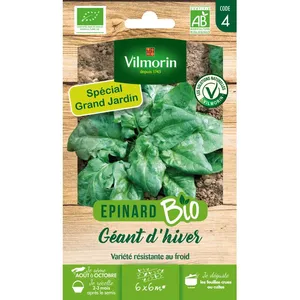 Epinard Géant d'Hiver Bio GM Vilmorin pas cher