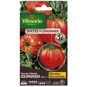 VILMORIN Tomate Gourmandia F1 Vilmorin série 3