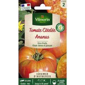 Tomate Ananas Vilmorin pas cher