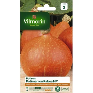 Potiron Potimarron Vilmorin pas cher