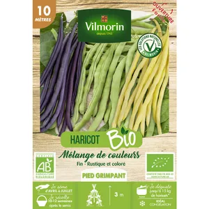 Haricot rame Mélange de Couleurs bio Vilmorin pas cher