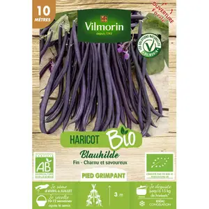 Haricot Blauhilde bio Vilmorin pas cher