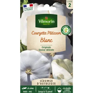 Pâtisson blanc Vilmorin pas cher