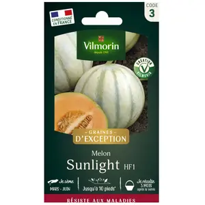 Melon Sunlight HF1 Vilmorin pas cher