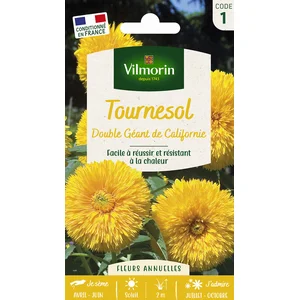 Tournesol Double Géant de Californie Vilmorin