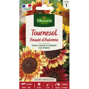 Tournesol Beauté d'Automne Vilmorin pas cher