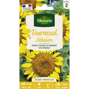 Tournesol Zebulon Pollen Free Vilmorin pas cher