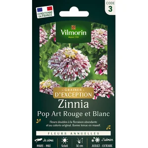 Zinnia Pop Art rouge et blanc Vilmorin pas cher