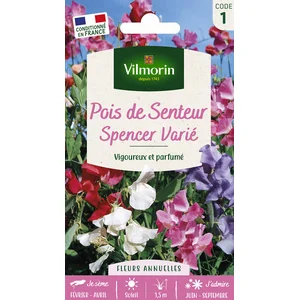 Pois de Senteur Spencer Varié Vilmorin pas cher