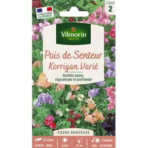 Pois de Senteur Little Sweetheart Vilmorin pas cher