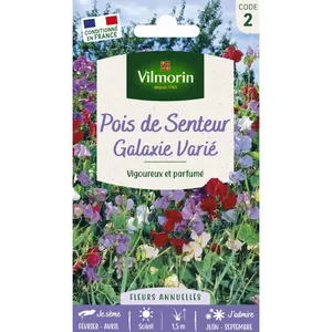 Pois de Senteur Galaxie Varié Vilmorin pas cher