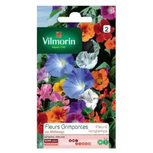VILMORIN Mélange graines de fleurs grimpantes