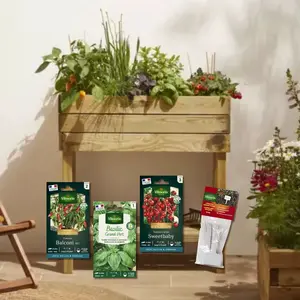 Carré potager sur pied 50 L - Kit semis spécial balcon | Cerland pas cher