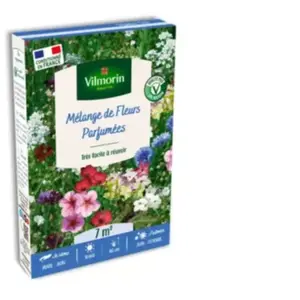 Fleurs Parfumées - 7 m² - Mélange de fleurs | Vilmorin Jardin
