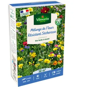 Fleurs Terrain Sec - 50 m² - Mélange de fleurs | Vilmorin Jardin