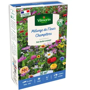 Fleurs Champêtres - 50 m² - Mélange de fleurs | Vilmorin Jardin