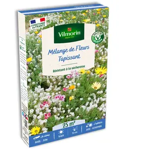Mélange Tapissant - 25 m² - Mélange de fleurs | Vilmorin Jardin