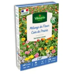 Coin de Prairie - 7 m² - Mélange de fleurs | Vilmorin Jardin pas cher
